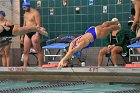 Swimming & Diving vs Babson  Swimming & Diving vs Babson College. - Photo by Keith Nordstrom : Wheaton, Swimming